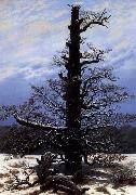 Caspar David Friedrich The Oaktree in the Snow oil painting reproduction